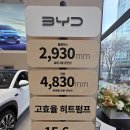 밧데리사자 | BYD 씨라이언 7, 가성비와 상품성을 모두 잡은 '바다의 사자' 시승 후기!