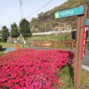 지천생태길 이미지