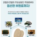 이츠시르 네이버블로그