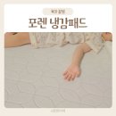 포렌하우스 | 포렌 여름 냉감패드 고급형 서브제로 쿨링매트 후기