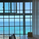 바당고띠 이미지