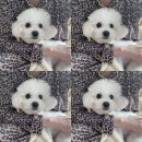 청라유명약국 | 2월의 기록