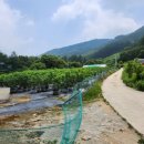 삼생1리 이미지