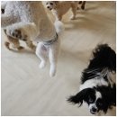 엄마 잘 다녀와 이미지