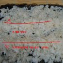 돌돌이김밥 이미지