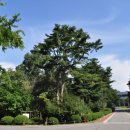 회기시장 이미지