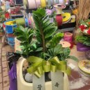 정평 행정사 사무소 이미지