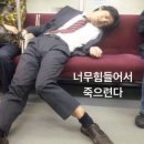 260406 (전 워너블 현 황도의)워너원고 상암 오프닝 세레머니 10시간 밤샘 후기