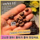 커피원두 추천 고소한 맛 원두 엘오공이커피로스터리 RSP 후기