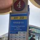 신흥2리(동백마을)농촌체험휴양마을 | 3월 제주 봄꽃 버스여행-동백꽃 보며 걷기 좋은 서귀포시 남원읍 신흥2리 동백마을, 신흥리 겹동백길