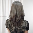 탑헤어 네이버블로그