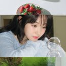미지미용실 - 구미시 | 미지미용실