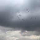 고지소류지 이미지