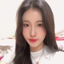 손수코 이미지
