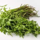 곱슬곱슬 이미지