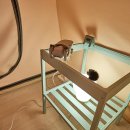 스테이그린 이미지