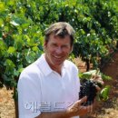 꿈을 찾아서 이미지