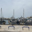 하모리-42 이미지