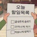 [피자] 팔자좀피자 후기