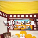 강 나 루 | 설명절 낯가리는 강아지 대처법｜손님 많은 날 스트레스 줄이는 루