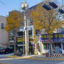 미락정장어 이미지