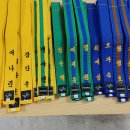 한플러스 태권스쿨 이미지