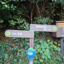 금오도 비렁길 | 금오도 비렁길 3코스, 4코스 완주 후기