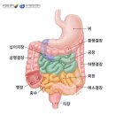 청강약품 | 1.25 간호학과 카데바 실습 후기+ 기록👩🏻‍⚕️‼️