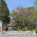 월포마을 이미지