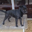 순종1농장 이미지