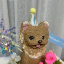 멍는개남는댕 이미지