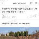 강아지 이모 Daum카페