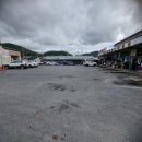 강진반점 이미지