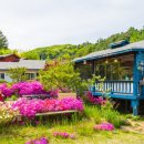 체르맛트 이미지