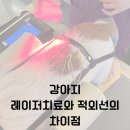 한걸음 동물병원 이미지