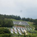 남해-229 이미지