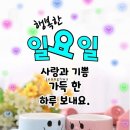 에이스환경 이미지