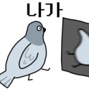 보스호프 이미지