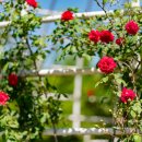 서곶근린공원 족구장 이미지