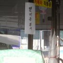 포천삼정초교 | (포천여행)허브아일랜드 - 허브와 불빛축제를 동시에 즐길 수 있는 곳!!