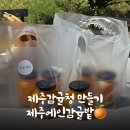좋은세상만들기 | 이색 제주 체험 ‘감귤청 만들기’ 직접 해봤니?! 서귀포 제주에인감귤밭 카페 후기