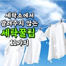 바른세탁소 - 성남시 수정구 수정남로18번길 14-1 | 바른세탁소