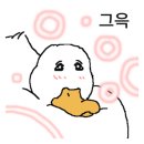 hey day 이미지