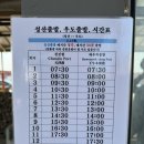 우도 가볼만한곳 순환버스 투어 가격 및 당일치기 코스