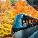 인생을 담은 동양화 | [직접 탑승 후기] 화담숲 모노레일 1, 2, 3구간 완벽 비교 (인생샷 명당 &amp; 부모님 추천 코스)