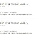 파테 이미지