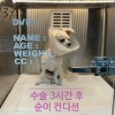 리더스 외과 동물병원 이미지