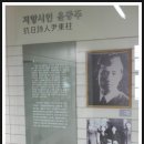 대성여행사 이미지