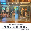 봉자네숙성뼈갈비 | 제주 서귀포 중문 숙성도, 960시간 숙성 흑돼지 나비갈비 내돈내산 후기