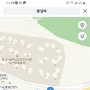 봄날애
